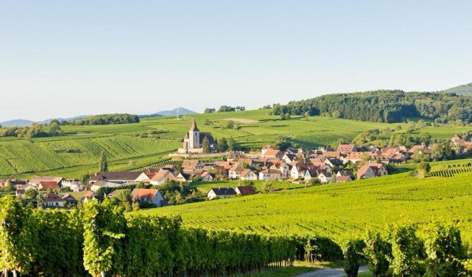 Relais Des Vosges Apartment *